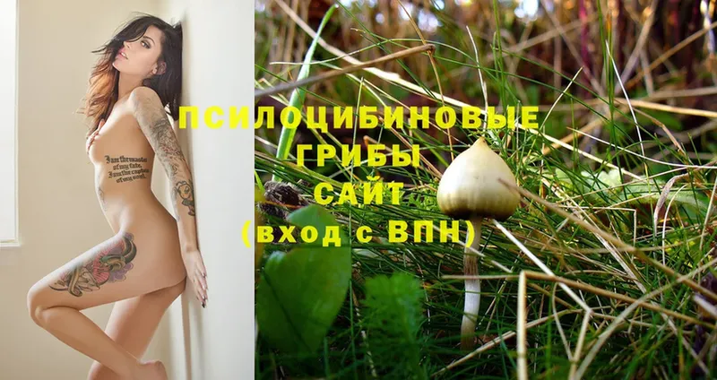 Псилоцибиновые грибы Psilocybe  нарко площадка официальный сайт  Нижний Ломов 